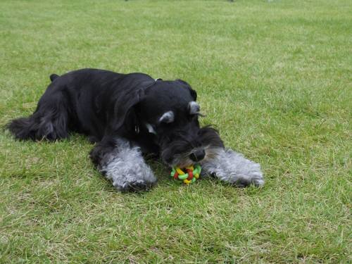 2014_09179-15ルネア