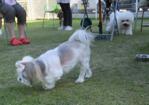 2014_09239-21蘭ちゃん