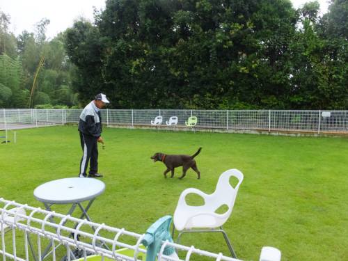 2014_09018-28ララちゃん