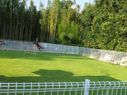 2014_09029-1ハル３