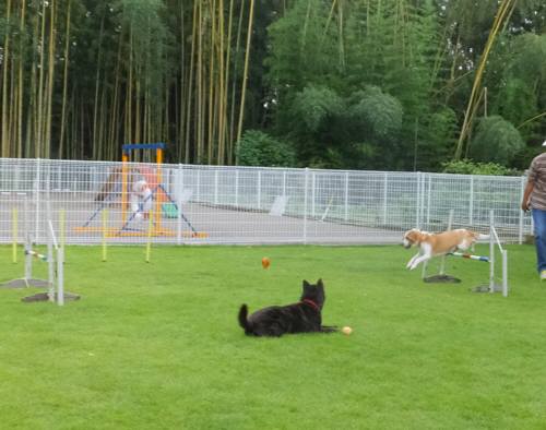 2014_09079-5むさしじゃんぷ