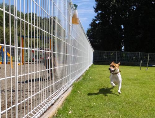 2014_09269-24ララチャッピー