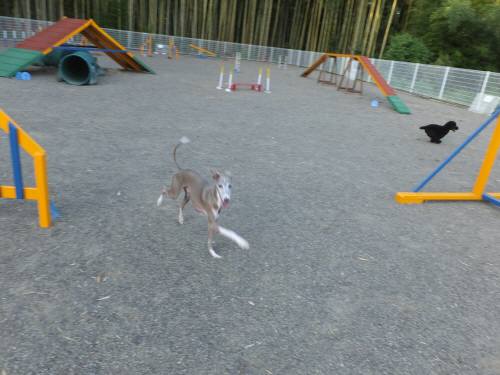 2014_09219-18トム君