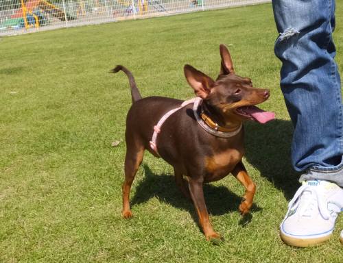 2014_09219-18きょん