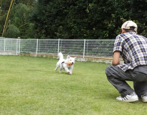 2014_09179-15ももちゃん