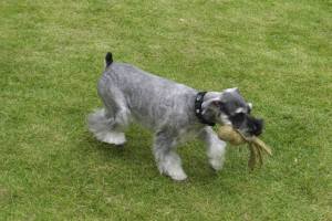 2014_09109-8クレア