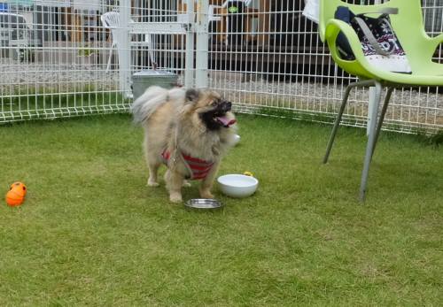 2014_09179-15ポンちゃん