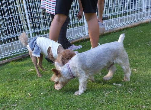 2014_09239-21しんちゃんももちゃん