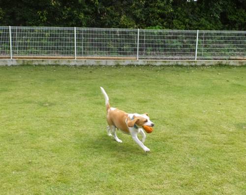 2014_09209-17ムサシ