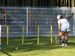 2014_09299-30すらふうちゃん