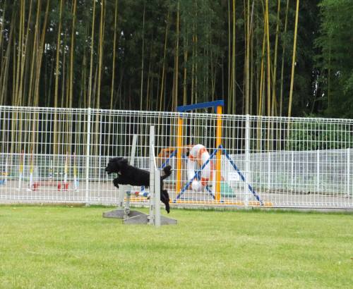 2014_09249-23ウルー