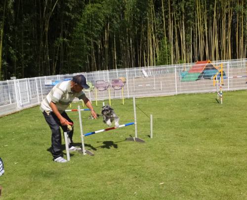 2014_09199-16まめちゃんジャンプ