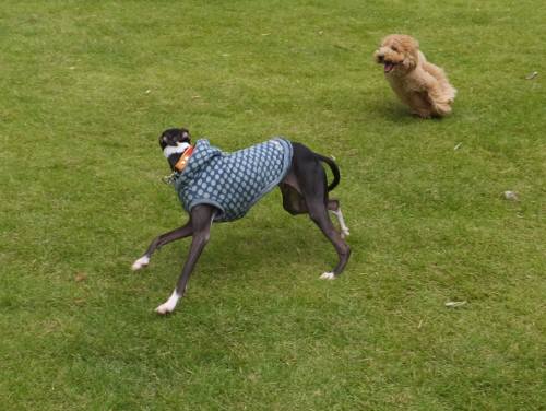 2014_09209-17バースマルクル