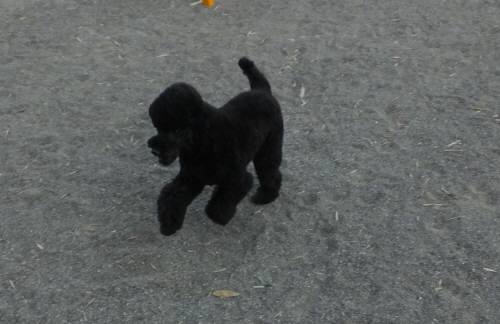 2014_09219-18もぐちゃん