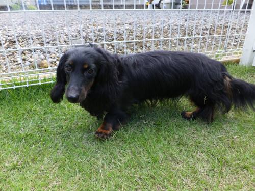 2014_09149-10ラウル