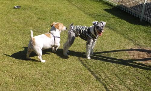 2014_09239-20もも茶々