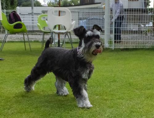 2014_09169-14りんちゃん