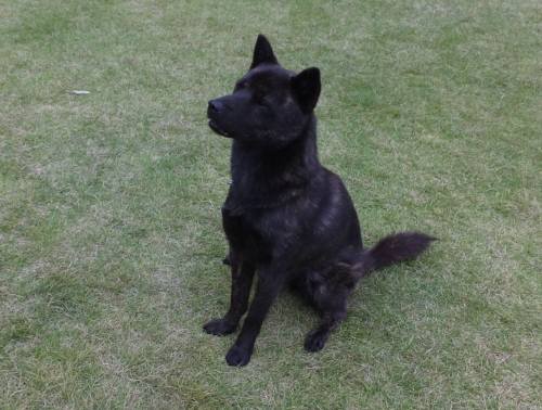 2014_09249-23さくら