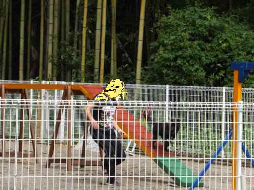 2014_09209-17さくら