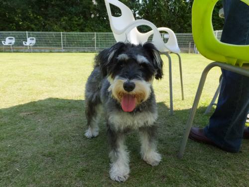 2014_09229-19まるちゃん