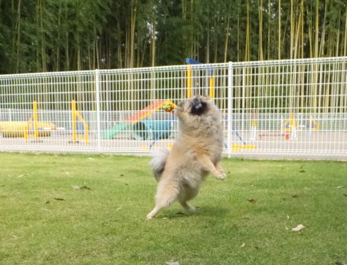 2014_100110-1ポンちゃん2