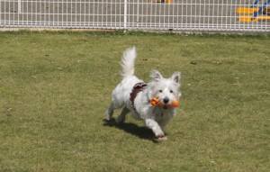 2014_101510-15もも