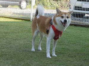 2014_101110-11りん