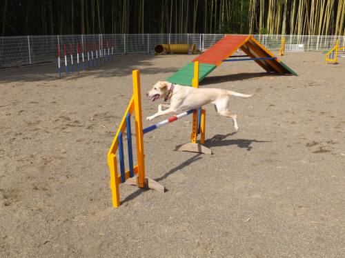 2014_101010-9なっちゃん