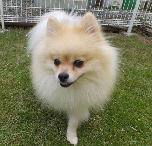 2014_100710-7ミルキー