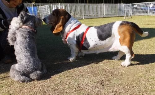 2014_102810-25マロンめー