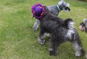 2014_100410-3ちゃちゃ1