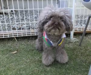 2014_101110-11エルトン