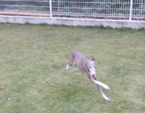 2014_101210-12トム