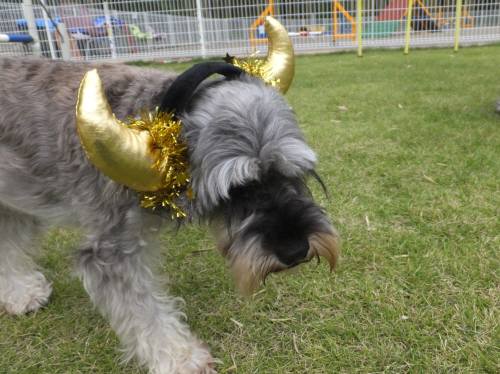 2014_100410-3シュート1