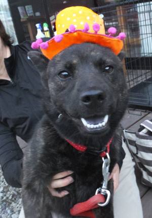 2014_100810-8さくら2