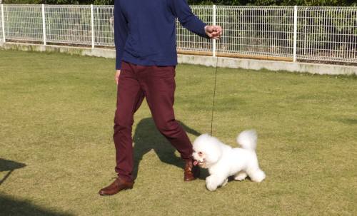 2014_102410-21アムル