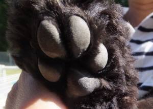 2014_101910-19肉球