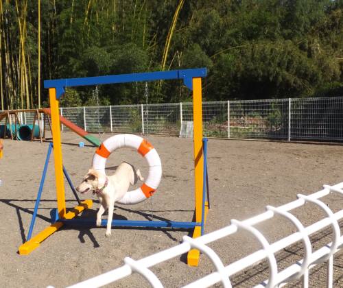 2014_102910-26なっちゃん