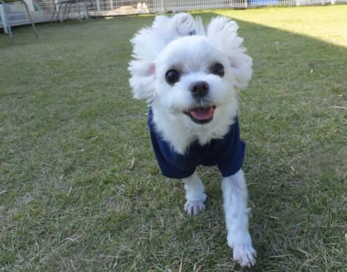 2014_102510-22もち