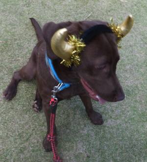 2014_100710-7-3rara1