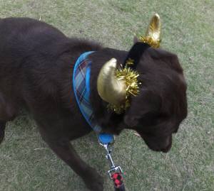 2014_100710-7-3rara2