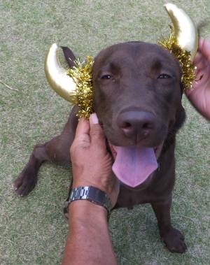 2014_100710-7-3rara4