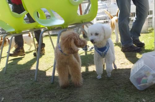 2014_102510-22タッキーマルクル