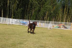 2014_102710-24ララ