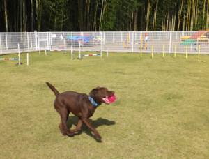 2014_101710-1ララ2