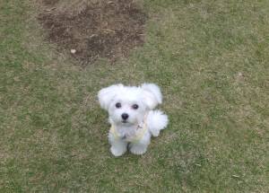 2014_101210-12める