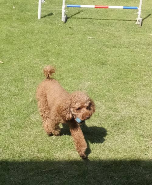 2014_100710-7ぶんちゃん