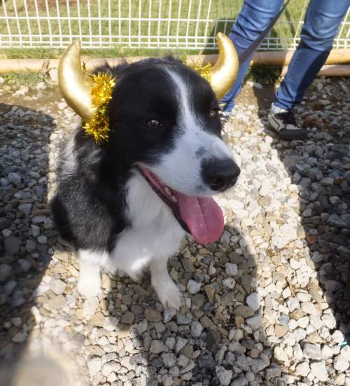 2014_100710-7ジャック