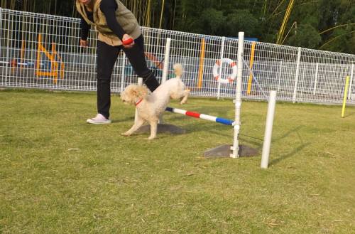 2014_102410-21ふー