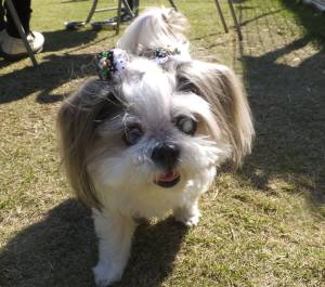 2014_101910-19らんちゃん